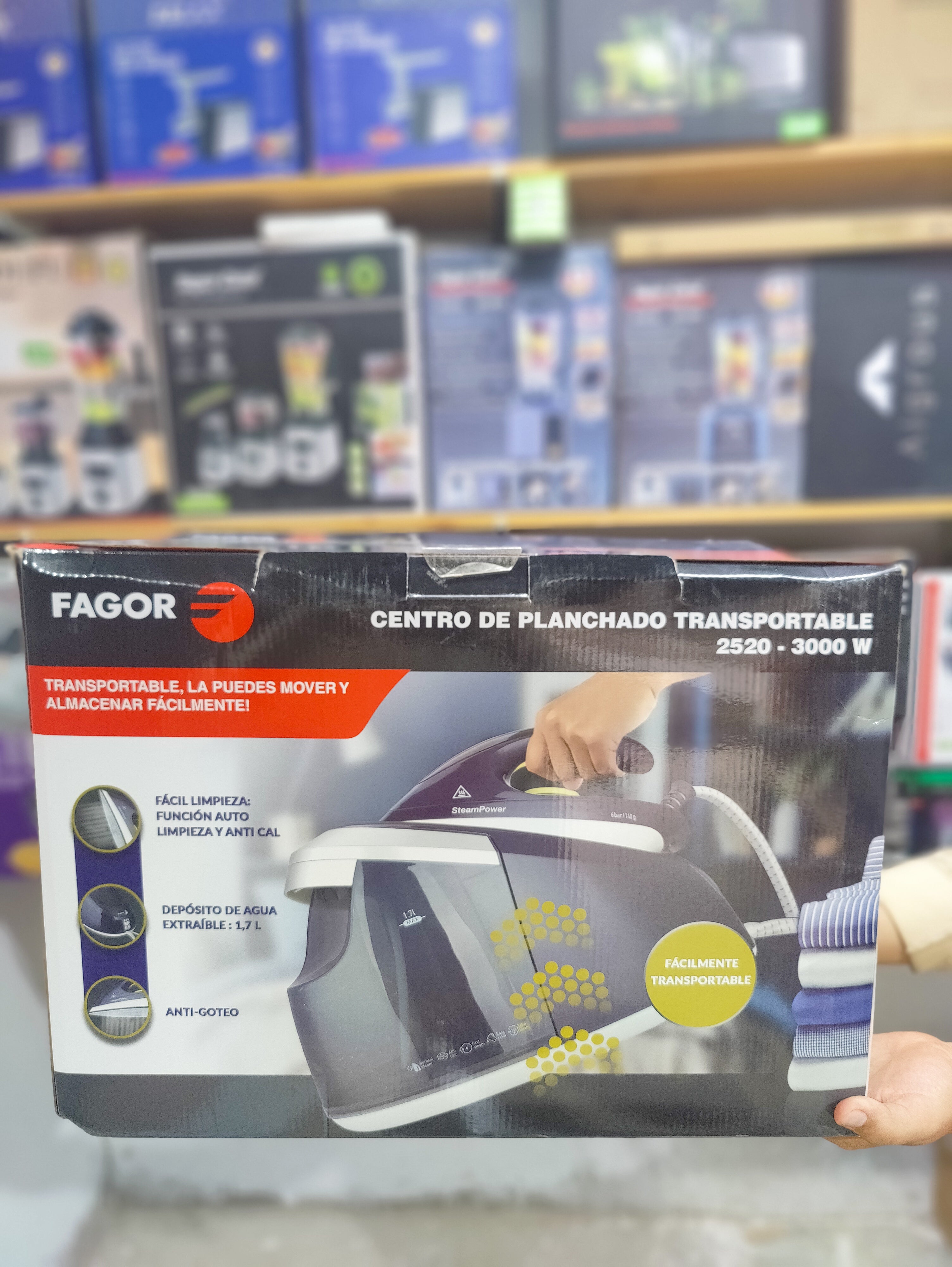Imported Fagor Garment Steaming Iron