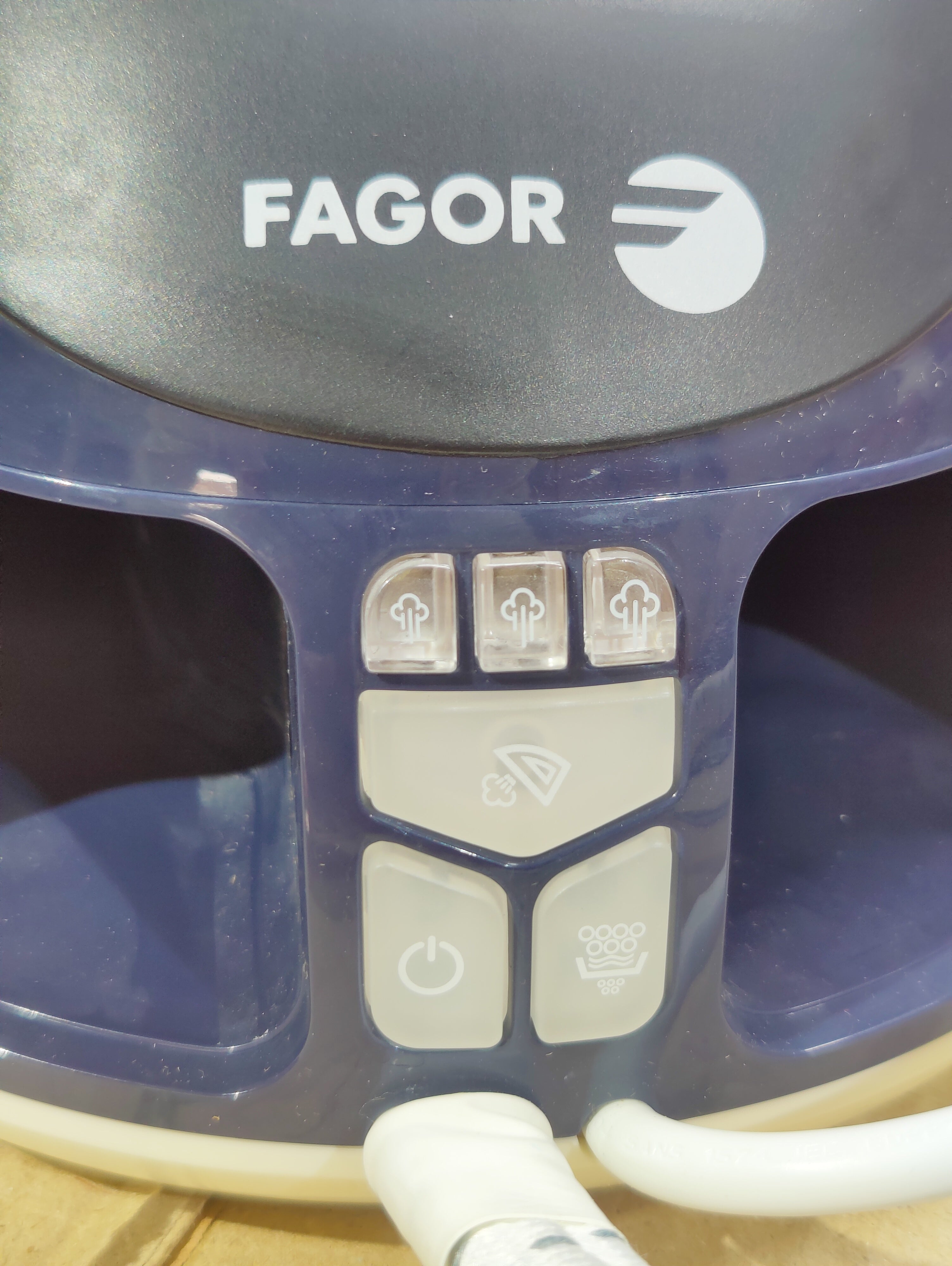 Imported Fagor Garment Steaming Iron