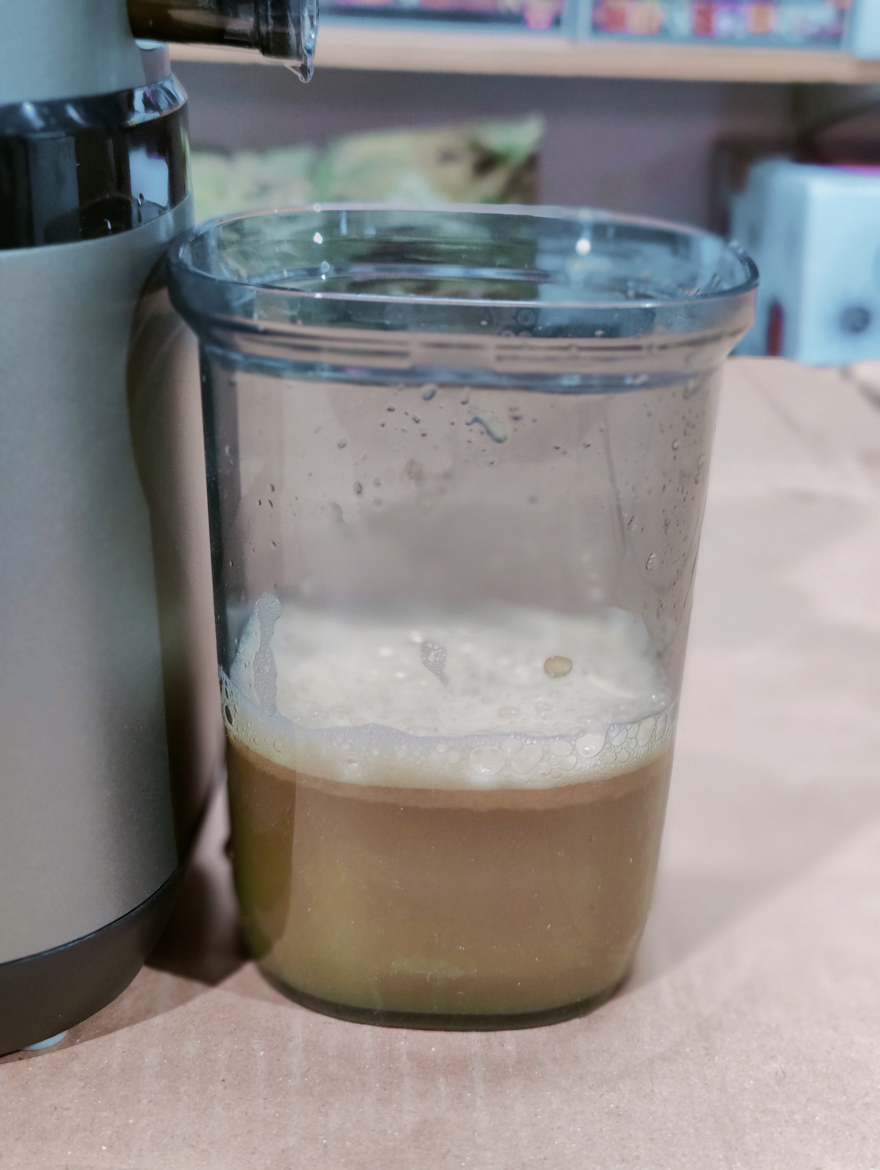 Hoffman Slow Juicer HM640