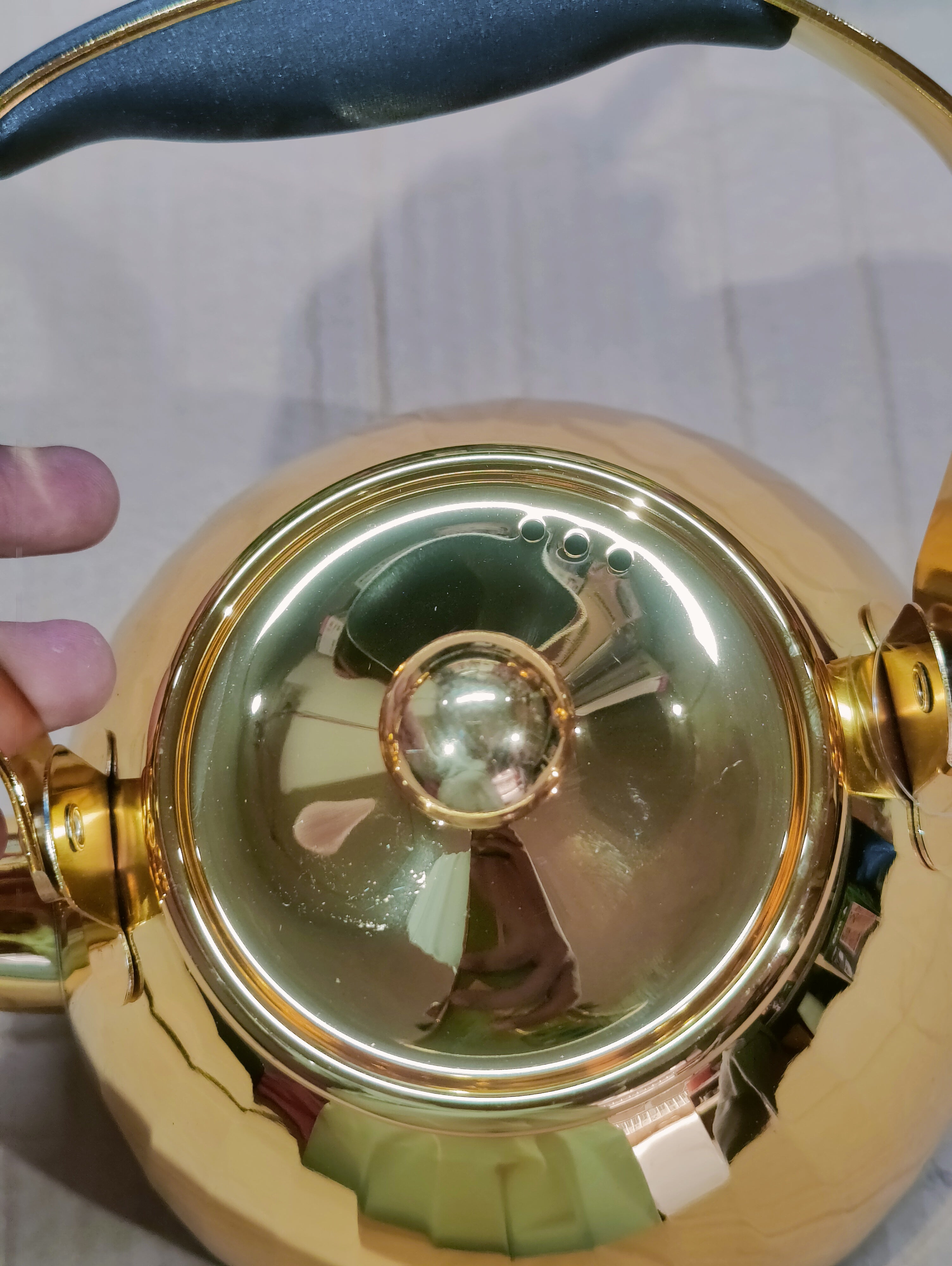 Vicalina Golden Stainless Steel Tea Kettle – 2L & 3L