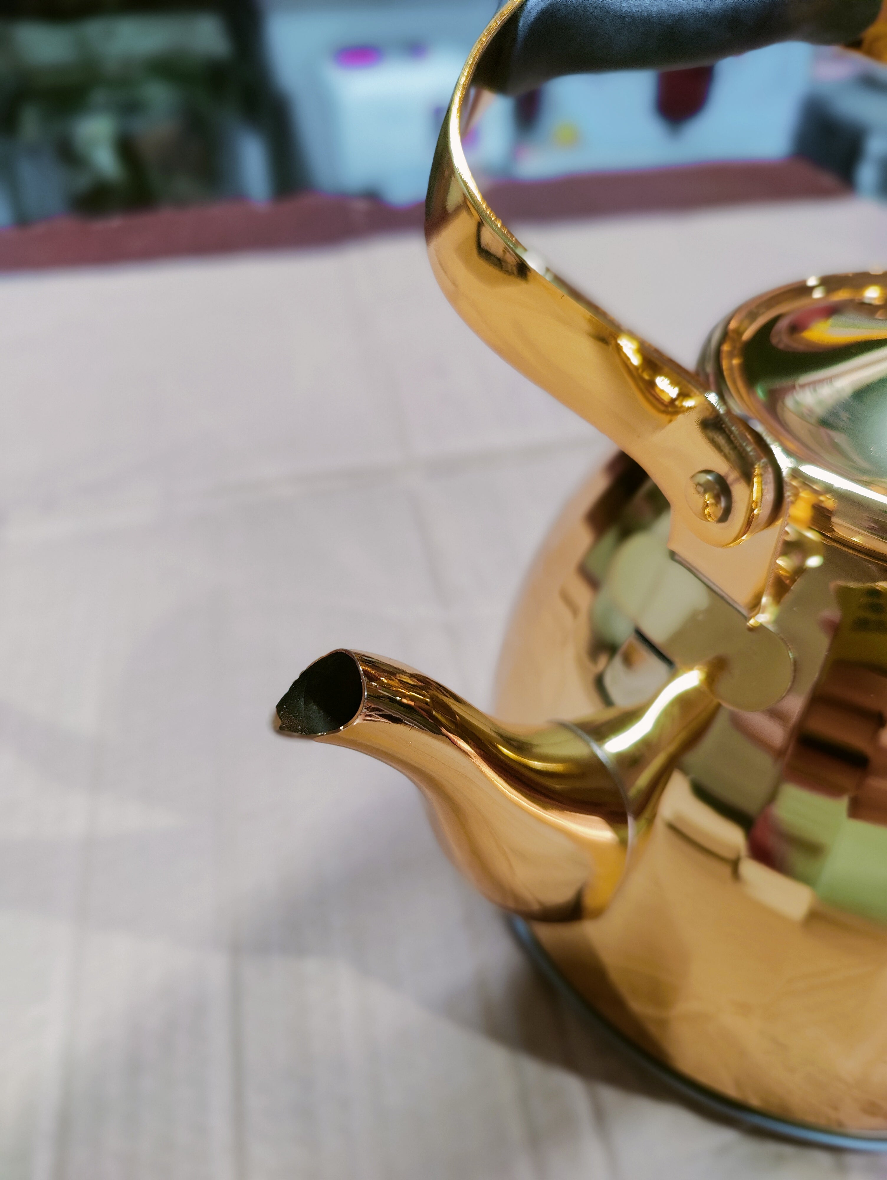 Vicalina Golden Stainless Steel Tea Kettle – 2L & 3L