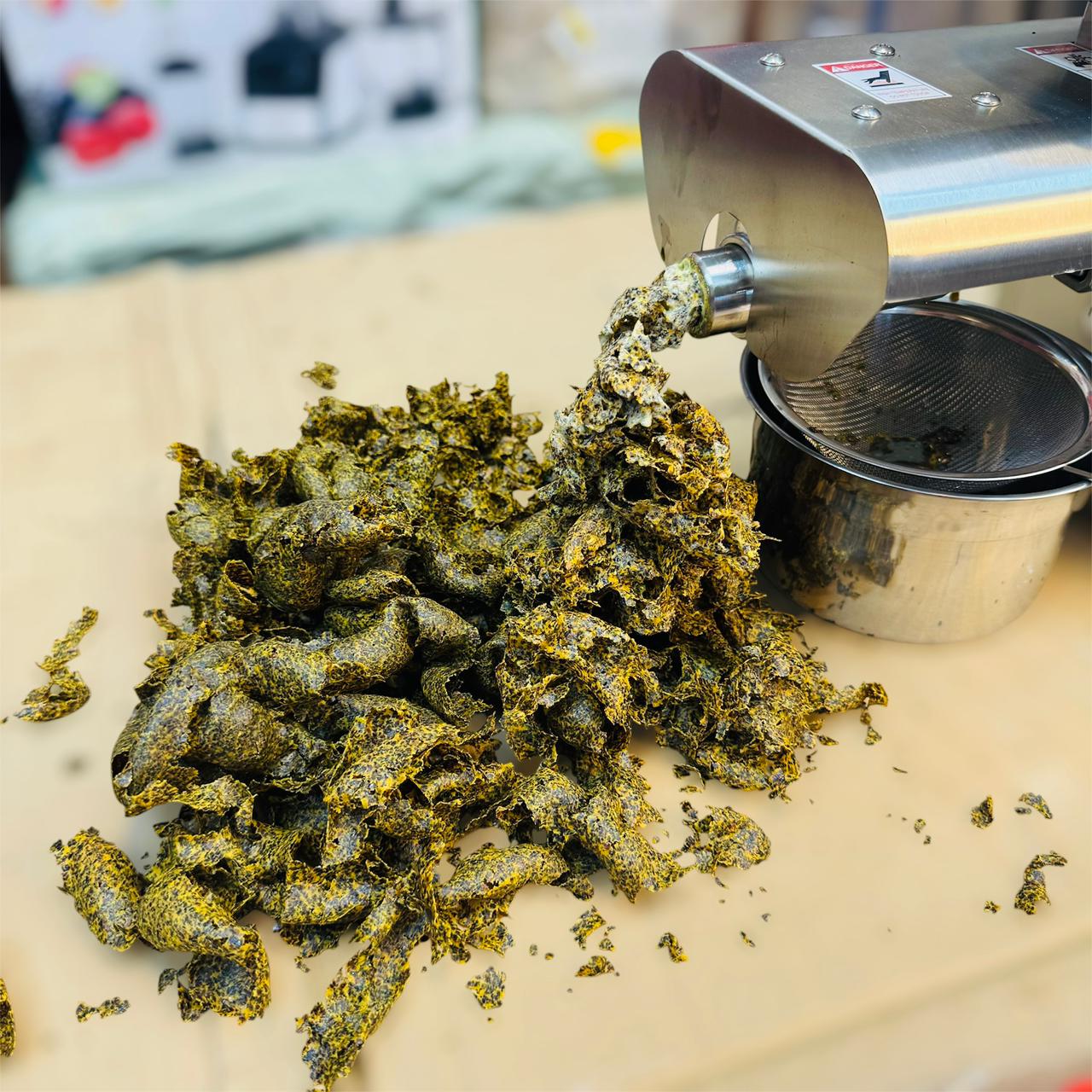 Stainless Steel Oil Press Machine ( Oil Extractor Machine )