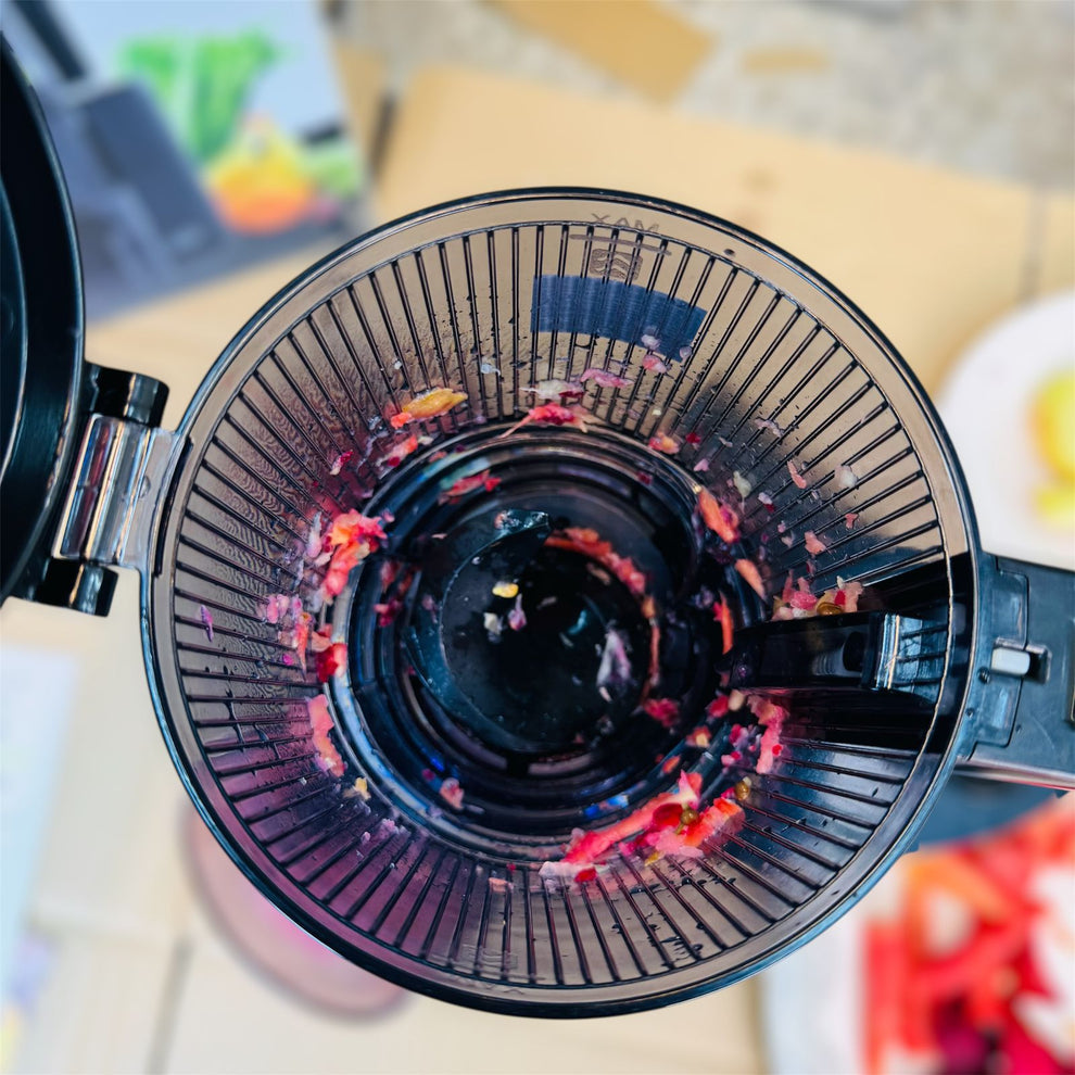 Canoly Cold Press Slow Juicer  JE-75B