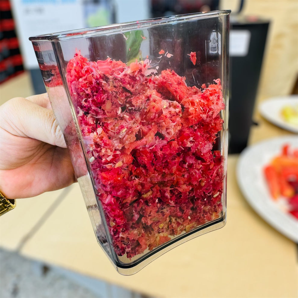 Canoly Cold Press Slow Juicer  JE-75B