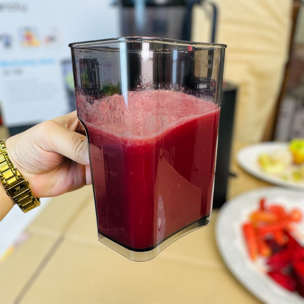 Canoly Cold Press Slow Juicer  JE-75B